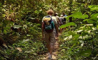 Jungle Land Panama