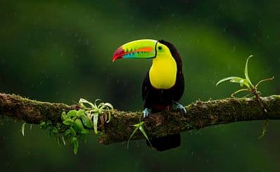 Simón Bolívar National Zoological Park and Botanical Garden