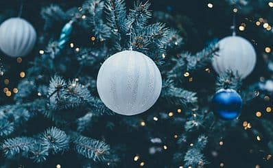Lighting of the Oslo Christmas Tree