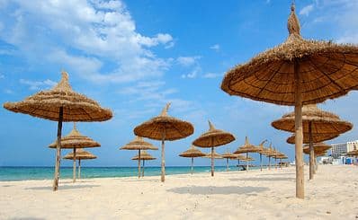 Beach Life
