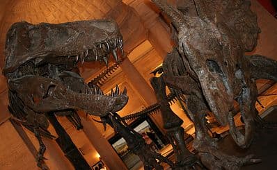 Natuurhistorisch museum van Los Angeles County