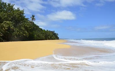 Bluff Beach