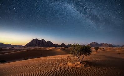 Desert by Night