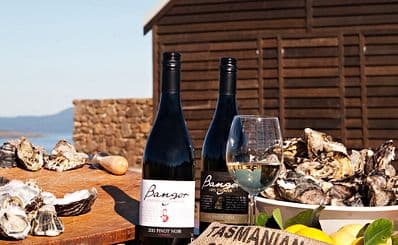 Southern Wine Trail