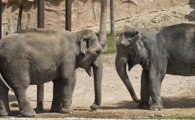 Terra Natura