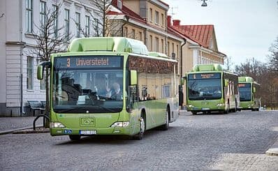 Public Transportation