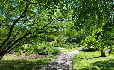 The Botanical Garden