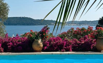 Best Time to Visit