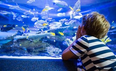 Reef World Hervey Bay
