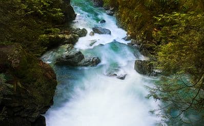 Lynn Canyon