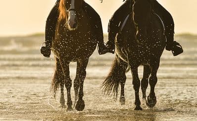 Horseback Riding with Provo Ponies