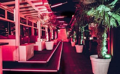 Pacha