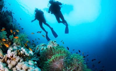 Diving