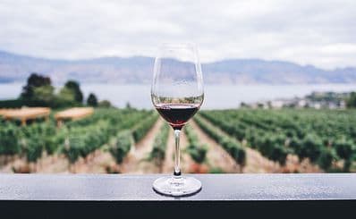 Private Wine Tour