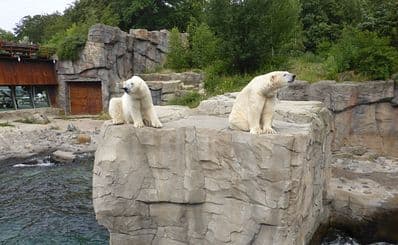 Lo zoo di Hannover