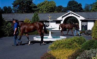 Irish National Stud & Gardens